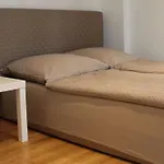 Apartamento And Big For Up To 10 People In A Very Good Location Of Munich! Good For Oktoberfest! *